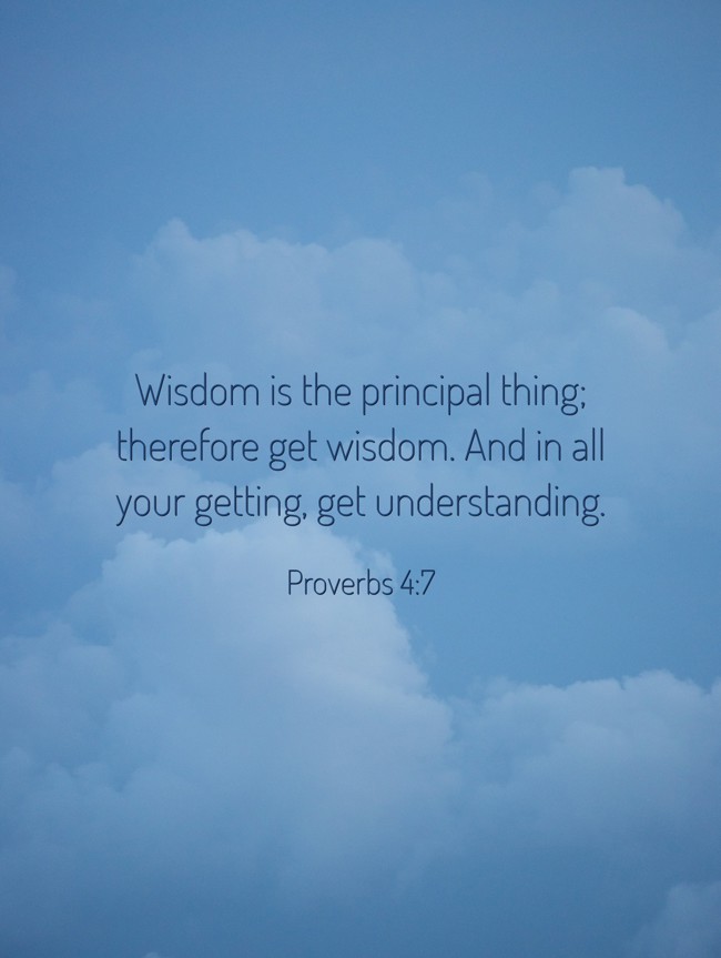  Wisdom is the principal thing; therefore get wisdom. And in all your getting, get understanding.   - Proverbs 4:7 
