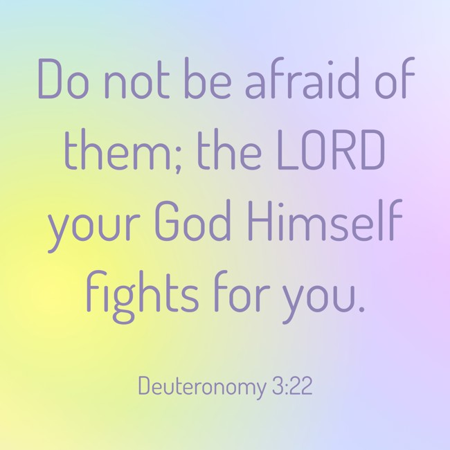 Do not be afraid of them; the LORD your God Himself fights for you. - Deuteronomy 3:22