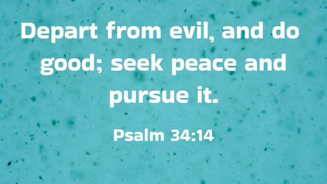Depart from evil, and do good; seek peace and pursue it. - Psalm 34:14