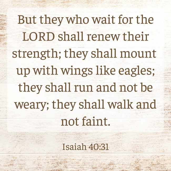 But they who wait for the LORD shall renew their strength; they shall mount up with wings like eagles; they shall run and not be weary; they shall walk and not faint. - Isaiah 40:31
