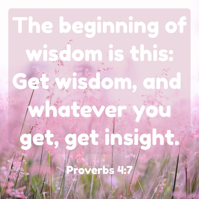 The beginning of wisdom is this: Get wisdom, and whatever you get, get insight. - Proverbs 4:7