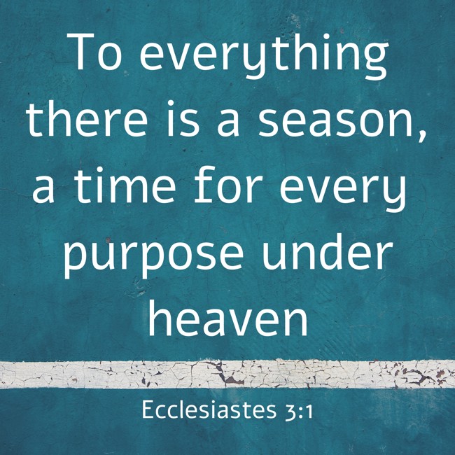  To everything there is a season, a time for every purpose under heaven   - Ecclesiastes 3:1 