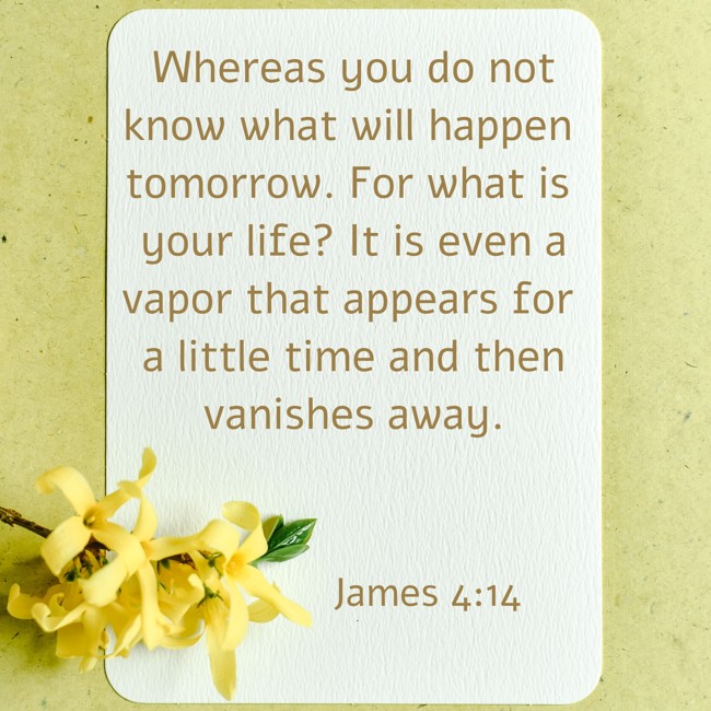 Whereas you do not know what will happen tomorrow. For what is your life? It is even a vapor that appears for a little time and then vanishes away.   - James 4:14 