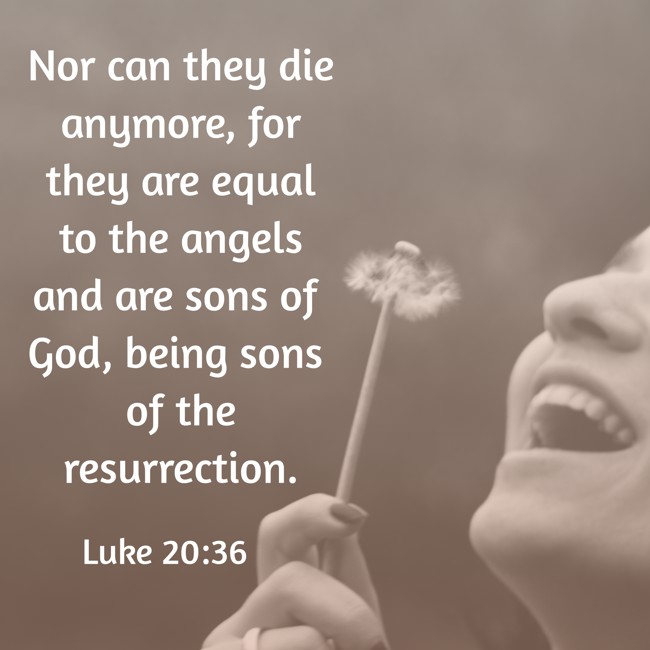  Nor can they die anymore, for they are equal to the angels and are sons of God, being sons of the resurrection.   - Luke 20:36 
