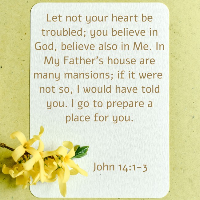  Let not your heart be troubled; you believe in God, believe also in Me. In My Father’s house are many mansions; if it were not so, I would have told you. I go to prepare a place for you.   - John 14:1-3 