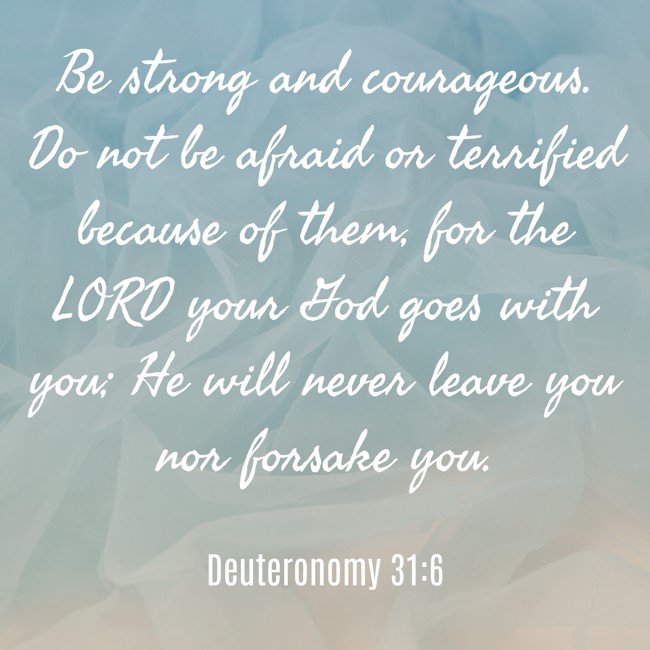 Be strong and courageous. Do not be afraid or terrified because of them, for the LORD your God goes with you; He will never leave you nor forsake you. - Deuteronomy 31:6
