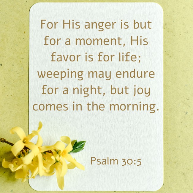  For His anger is but for a moment, His favor is for life; weeping may endure for a night, but joy comes in the morning.   - Psalm 30:5 