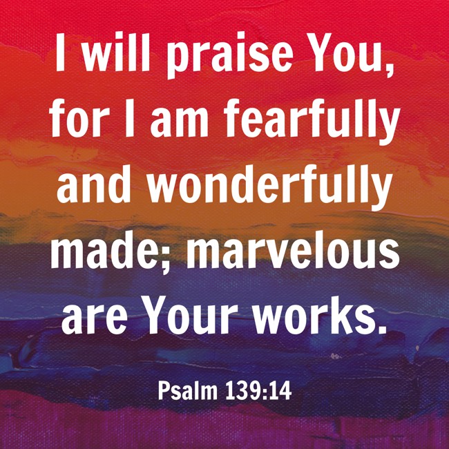 I will praise You, for I am fearfully and wonderfully made; marvelous are Your works. - Psalm 139:14