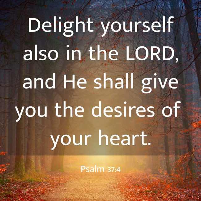 Delight yourself also in the LORD, and He shall give you the desires of your heart. - Psalm 37:4