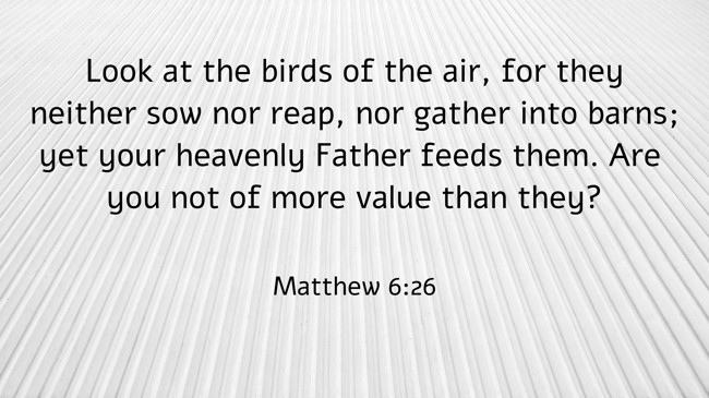  Look at the birds of the air, for they neither sow nor reap, nor gather into barns; yet your heavenly Father feeds them. Are you not of more value than they?   - Matthew 6:26 