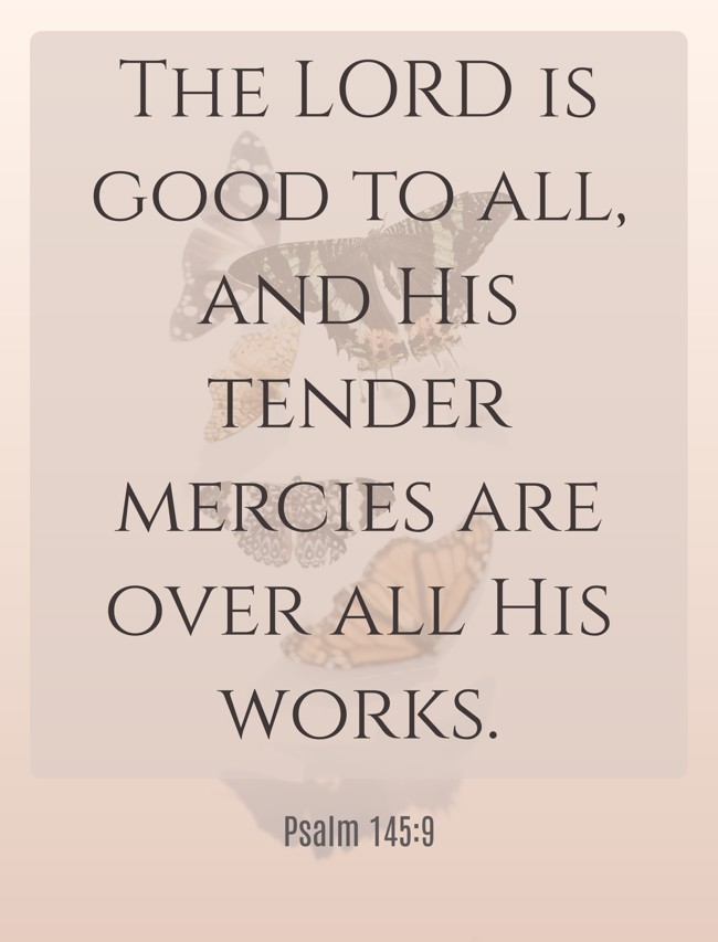  The LORD is good to all, and His tender mercies are over all His works.   - Psalm 145:9 