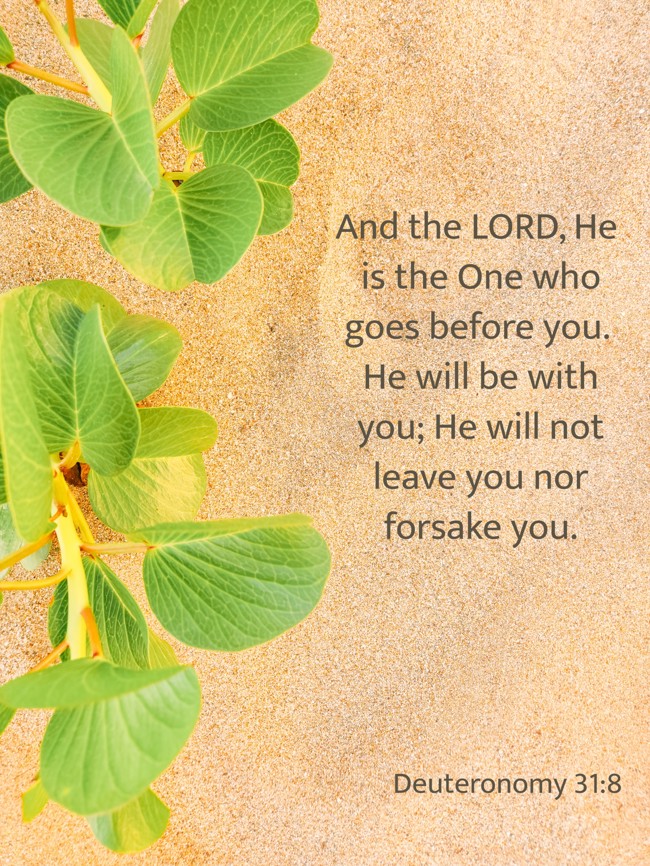 And the LORD, He is the One who goes before you. He will be with you; He will not leave you nor forsake you. - Deuteronomy 31:8