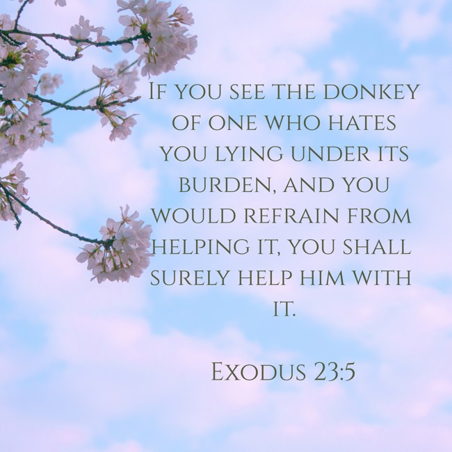  If you see the donkey of one who hates you lying under its burden, and you would refrain from helping it, you shall surely help him with it.   - Exodus 23:5 