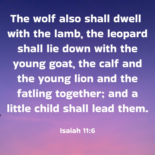  The wolf also shall dwell with the lamb, the leopard shall lie down with the young goat, the calf and the young lion and the fatling together; and a little child shall lead them.   - Isaiah 11:6 