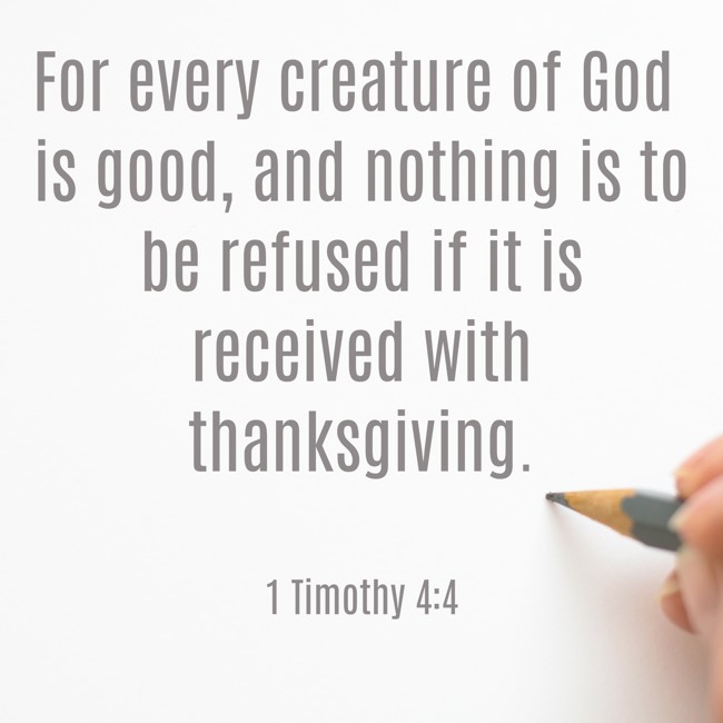 For every creature of God is good, and nothing is to be refused if it is received with thanksgiving.   - 1 Timothy 4:4 