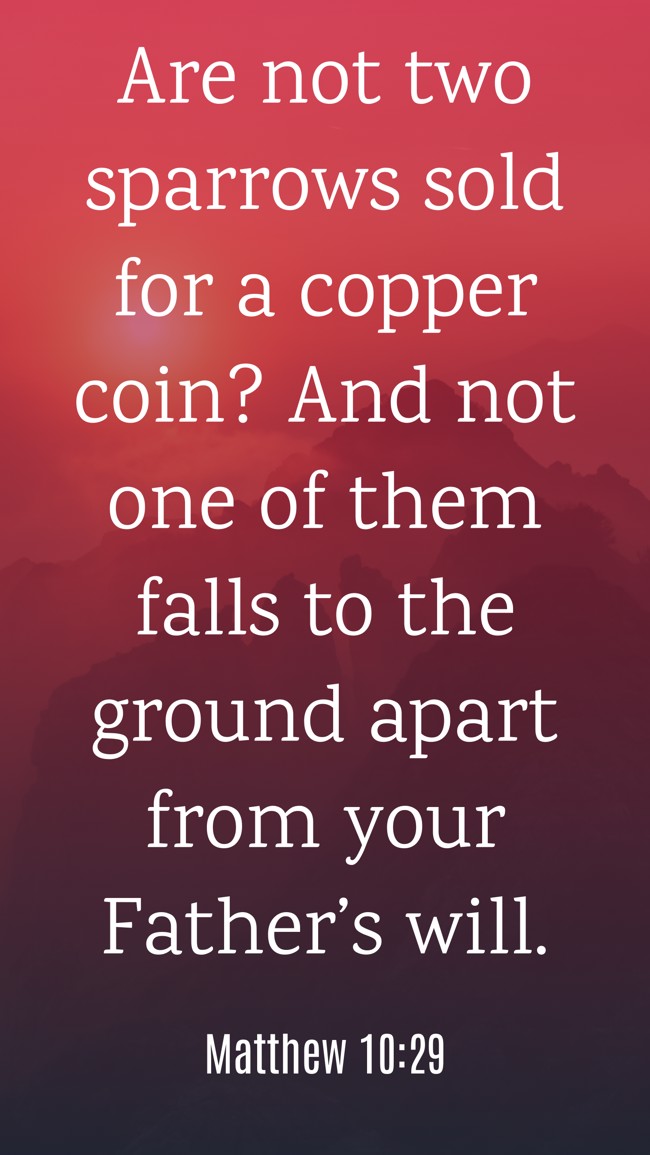  Are not two sparrows sold for a copper coin? And not one of them falls to the ground apart from your Father’s will.   - Matthew 10:29 