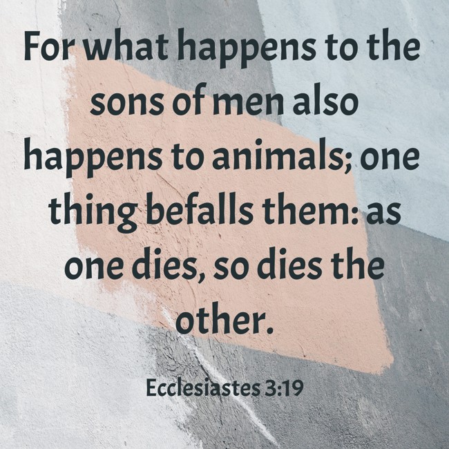  For what happens to the sons of men also happens to animals; one thing befalls them: as one dies, so dies the other.   - Ecclesiastes 3:19 