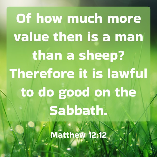  Of how much more value then is a man than a sheep? Therefore it is lawful to do good on the Sabbath.   - Matthew 12:12 
