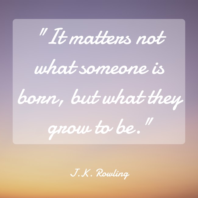 It matters not what someone is born, but what they grow to be. - J.K. Rowling