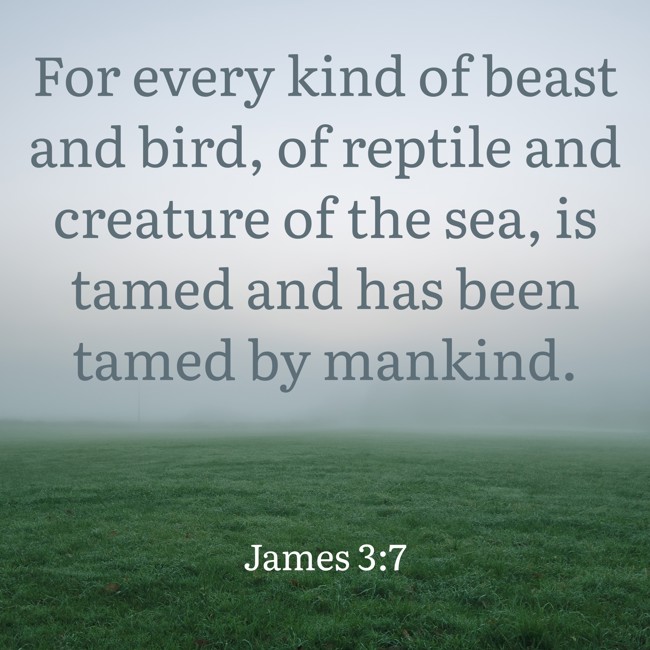  For every kind of beast and bird, of reptile and creature of the sea, is tamed and has been tamed by mankind.   - James 3:7 