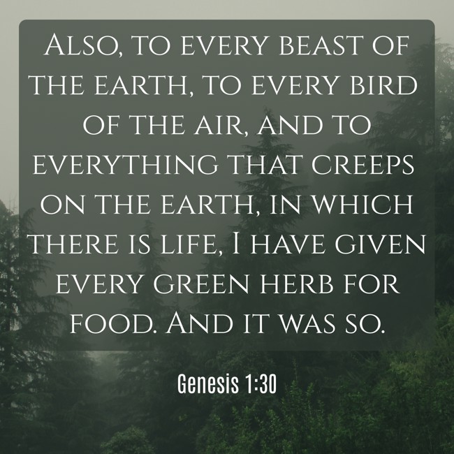  Also, to every beast of the earth, to every bird of the air, and to everything that creeps on the earth, in which there is life, I have given every green herb for food. And it was so.   - Genesis 1:30 