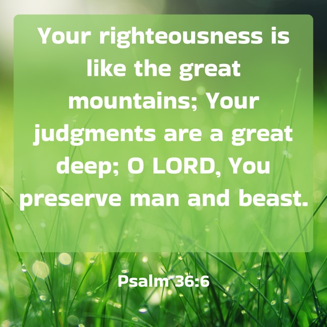 Your righteousness is like the great mountains; Your judgments are a great deep; O LORD, You preserve man and beast.   - Psalm 36:6 