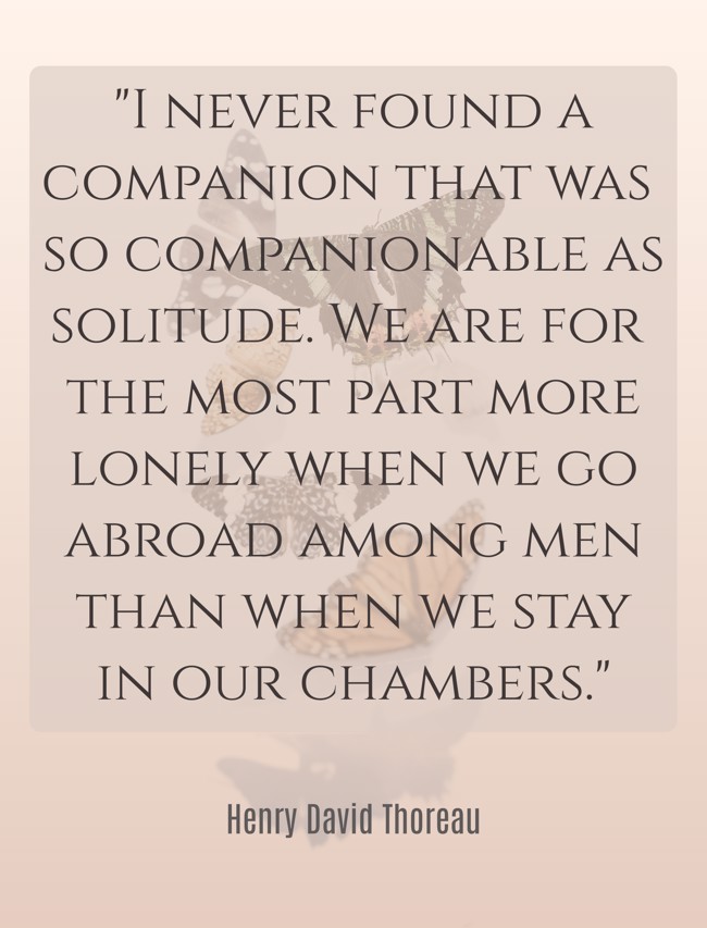  I never found a companion that was so companionable as solitude. We are for the most part more lonely when we go abroad among men than when we stay in our chambers.   - Henry David Thoreau 