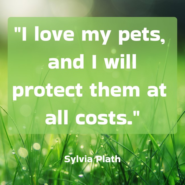  I love my pets, and I will protect them at all costs.   - Sylvia Plath 