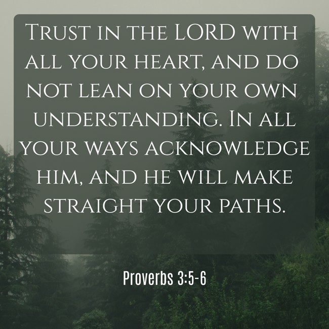  Trust in the LORD with all your heart, and do not lean on your own understanding. In all your ways acknowledge him, and he will make straight your paths.   - Proverbs 3:5-6 