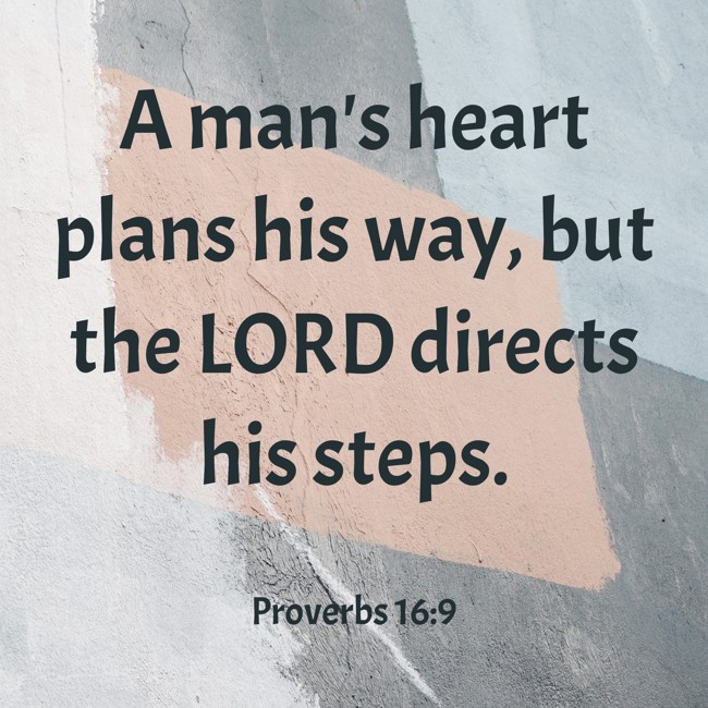  A man's heart plans his way, but the LORD directs his steps.   - Proverbs 16:9 