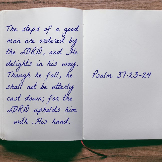  The steps of a good man are ordered by the LORD, and He delights in his way. Though he fall, he shall not be utterly cast down; for the LORD upholds him with His hand.   - Psalm 37:23-24 