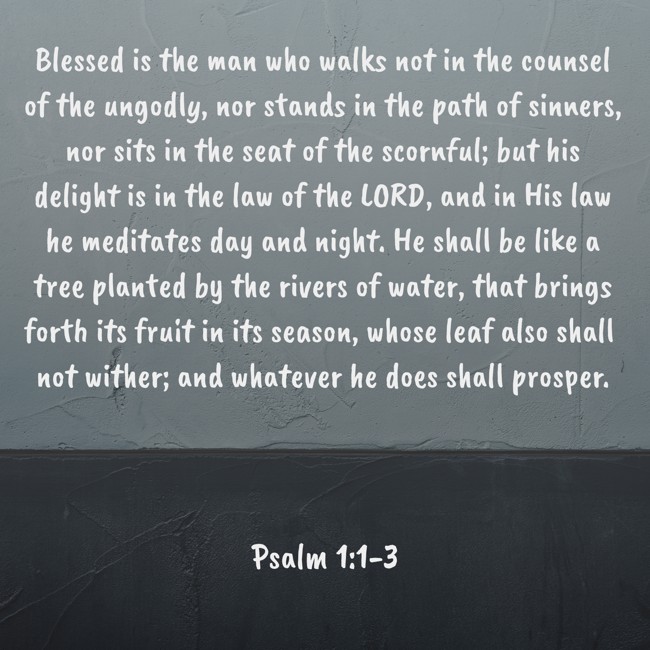  Blessed is the man who walks not in the counsel of the ungodly, nor stands in the path of sinners, nor sits in the seat of the scornful; but his delight is in the law of the LORD, and in His law he meditates day and night. He shall be like a tree planted by the rivers of water, that brings forth its fruit in its season, whose leaf also shall not wither; and whatever he does shall prosper.   - Psalm 1:1-3 