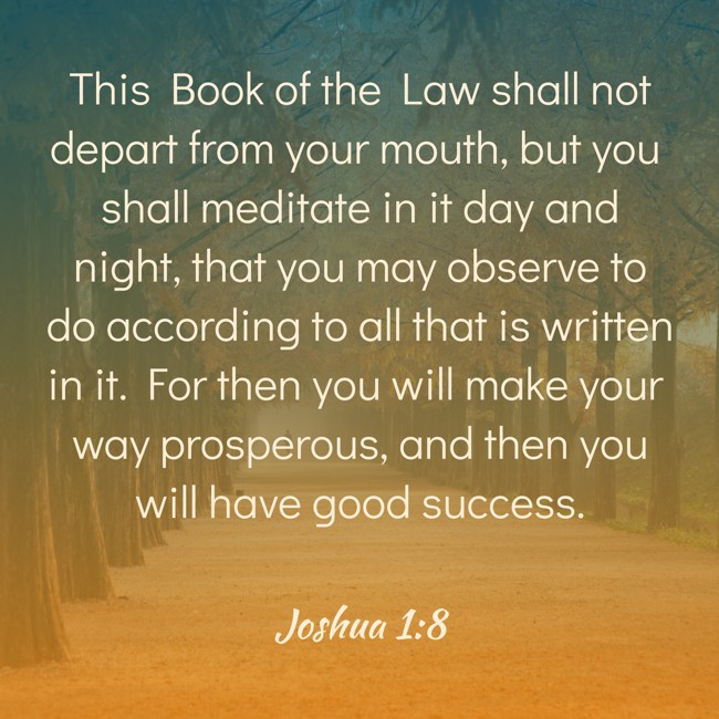  This Book of the Law shall not depart from your mouth, but you shall meditate in it day and night, that you may observe to do according to all that is written in it. For then you will make your way prosperous, and then you will have good success.   - Joshua 1:8 