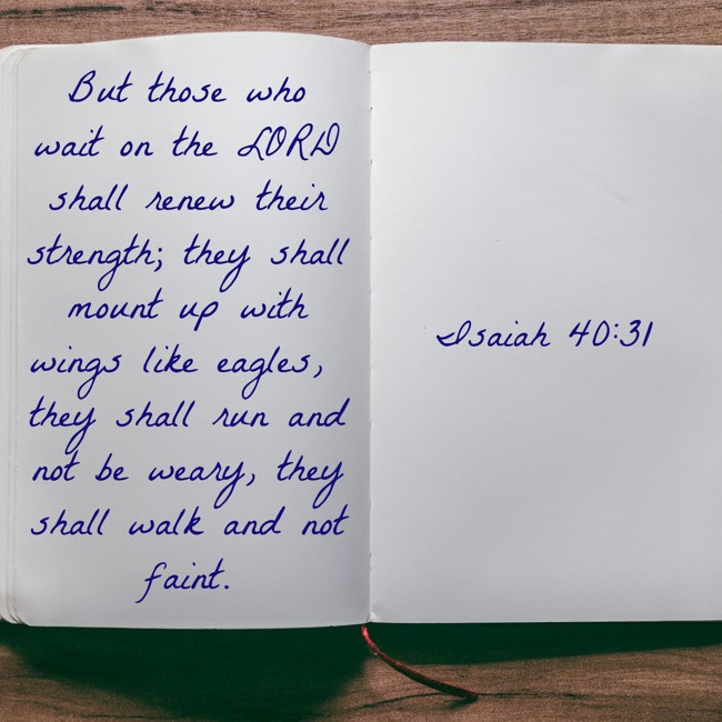  But those who wait on the LORD shall renew their strength; they shall mount up with wings like eagles, they shall run and not be weary, they shall walk and not faint.   - Isaiah 40:31 