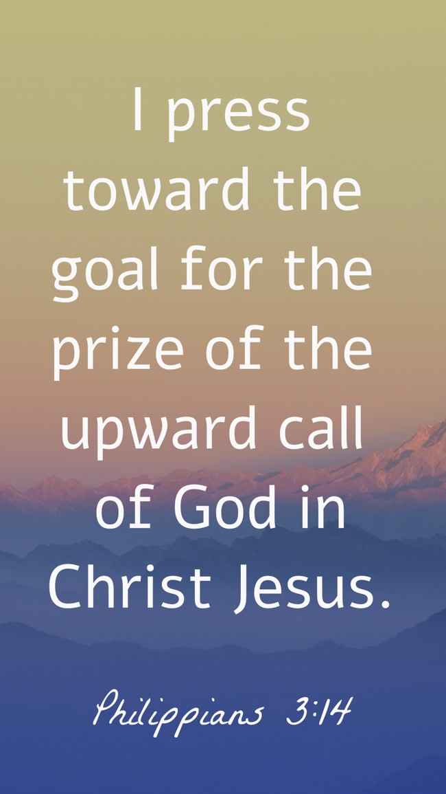  I press toward the goal for the prize of the upward call of God in Christ Jesus.   - Philippians 3:14 