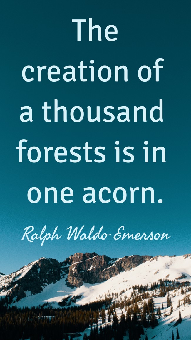  The creation of a thousand forests is in one acorn.   - Ralph Waldo Emerson 