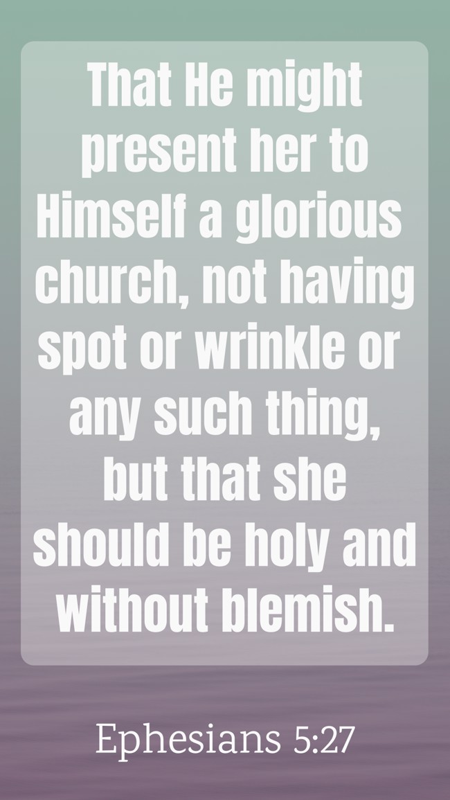  That He might present her to Himself a glorious church, not having spot or wrinkle or any such thing, but that she should be holy and without blemish.   - Ephesians 5:27 