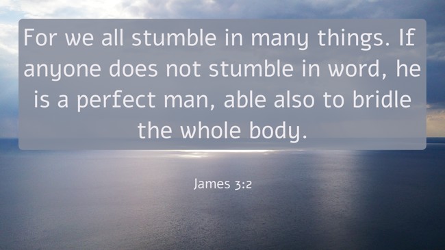  For we all stumble in many things. If anyone does not stumble in word, he is a perfect man, able also to bridle the whole body.   - James 3:2 