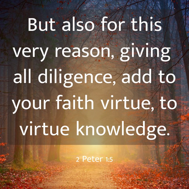  But also for this very reason, giving all diligence, add to your faith virtue, to virtue knowledge.   - 2 Peter 1:5 