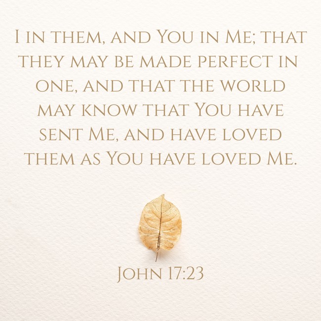 I in them, and You in Me; that they may be made perfect in one, and that the world may know that You have sent Me, and have loved them as You have loved Me.   - John 17:23 