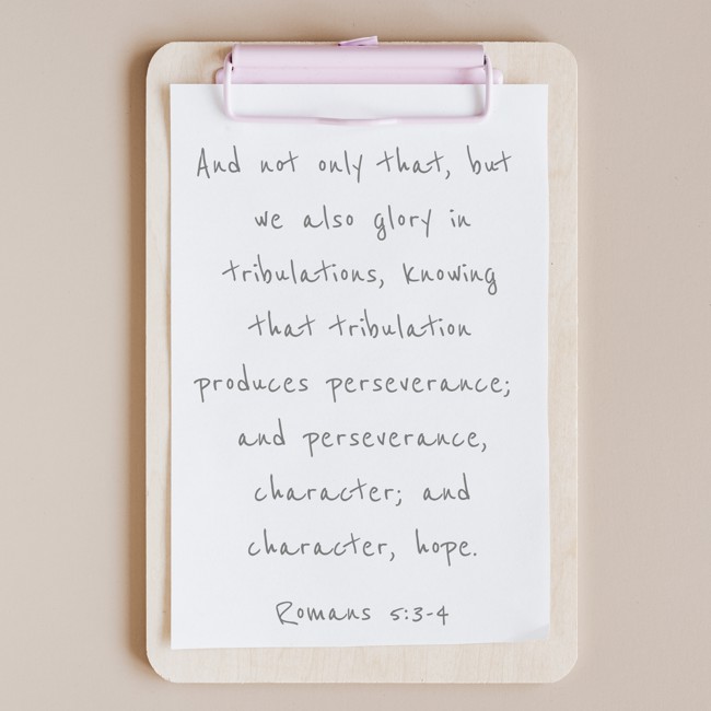  And not only that, but we also glory in tribulations, knowing that tribulation produces perseverance; and perseverance, character; and character, hope.   - Romans 5:3-4 