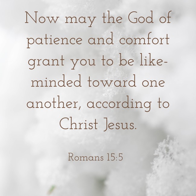  Now may the God of patience and comfort grant you to be like-minded toward one another, according to Christ Jesus.   - Romans 15:5 