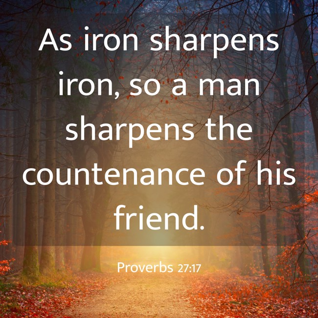  As iron sharpens iron, so a man sharpens the countenance of his friend.   - Proverbs 27:17 