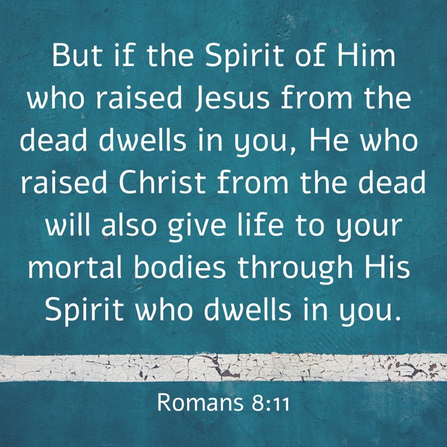 But if the Spirit of Him who raised Jesus from the dead dwells in you, He who raised Christ from the dead will also give life to your mortal bodies through His Spirit who dwells in you. - Romans 8:11