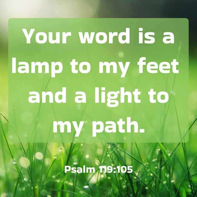  Your word is a lamp to my feet and a light to my path.   - Psalm 119:105 