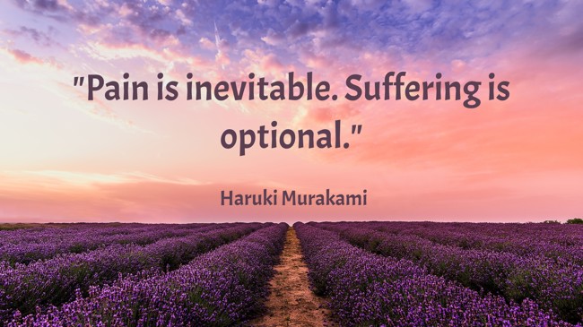 Pain is inevitable. Suffering is optional. - Haruki Murakami