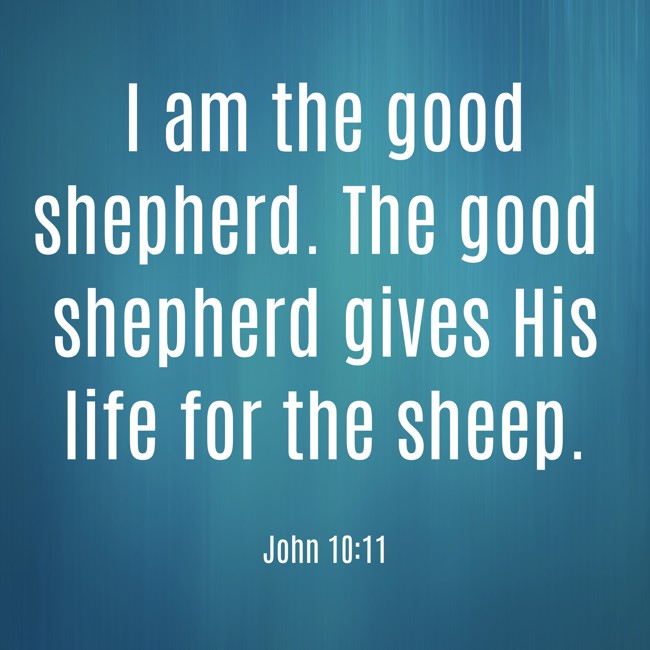 I am the good shepherd. The good shepherd gives His life for the sheep. - John 10:11
