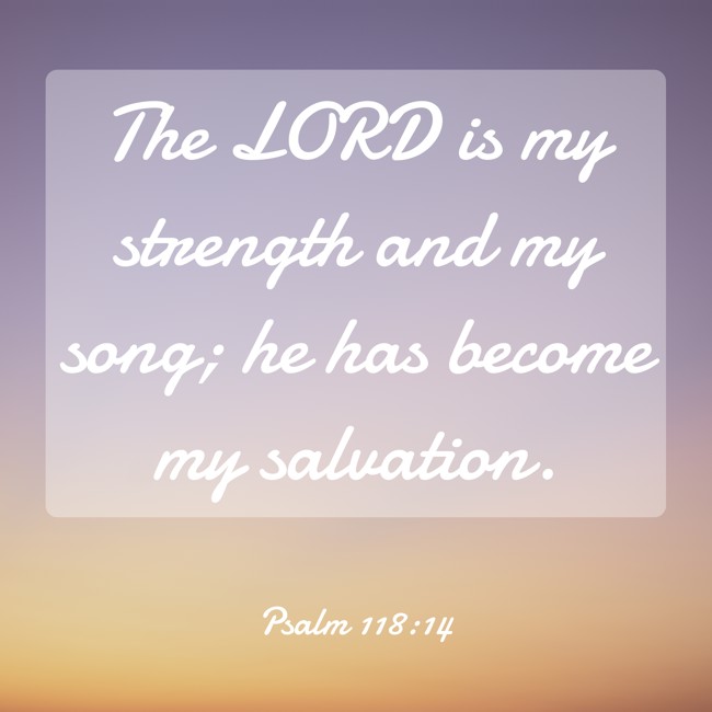 The LORD is my strength and my song; he has become my salvation. - Psalm 118:14