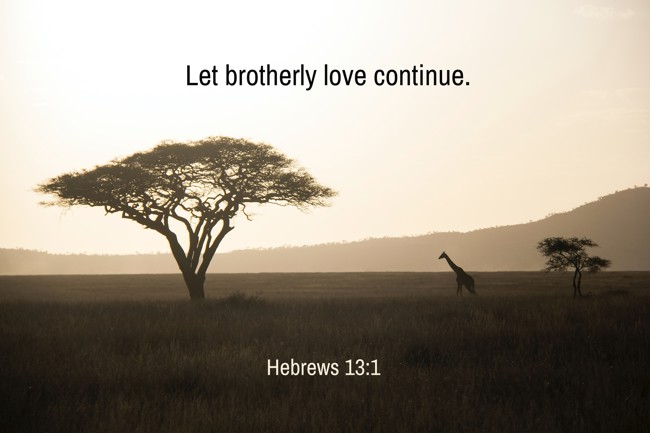 Let brotherly love continue. - Hebrews 13:1