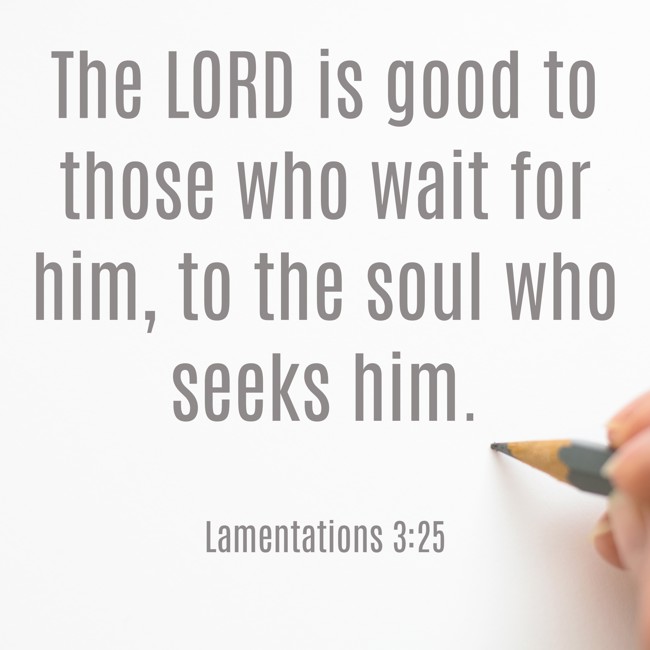 The LORD is good to those who wait for him, to the soul who seeks him. - Lamentations 3:25